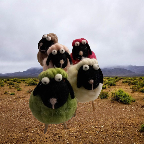 Woolly Sheep different colors Woolly Sheep different colors